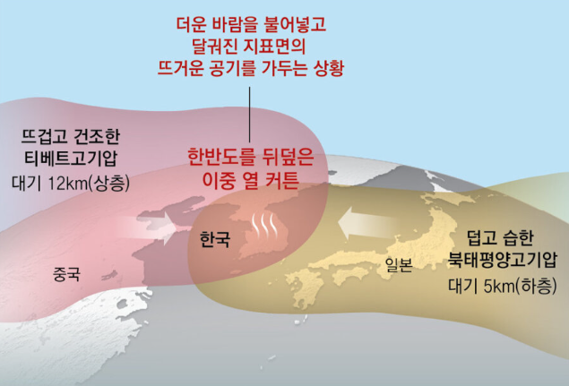 화면 캡처 2024-07-29 165700.png