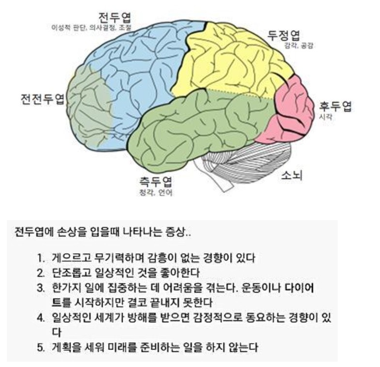 화면 캡처 2024-08-07 201835.png