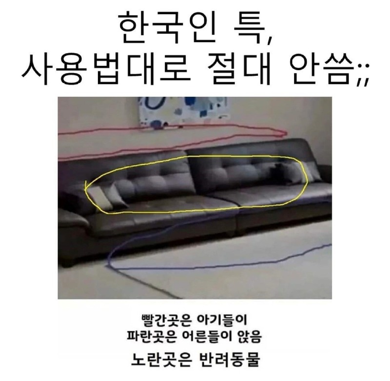 한국인특1.jpg