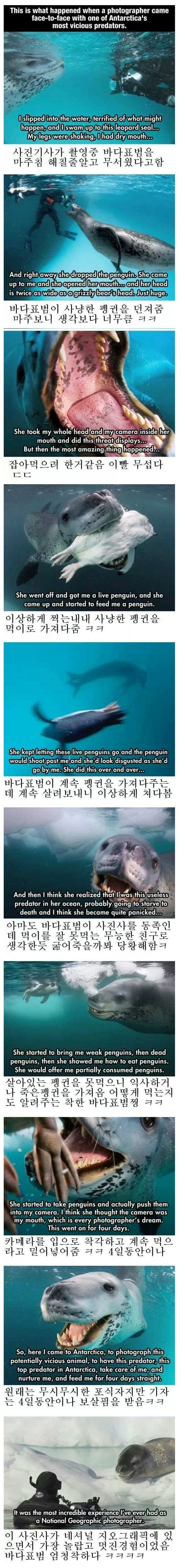 내셔널.jpeg