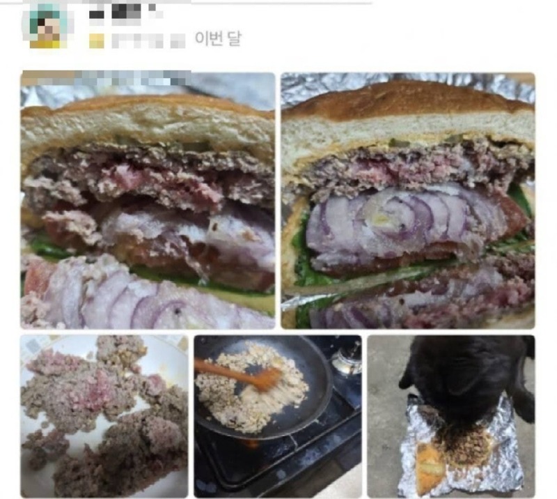 개밥패티1.jpg