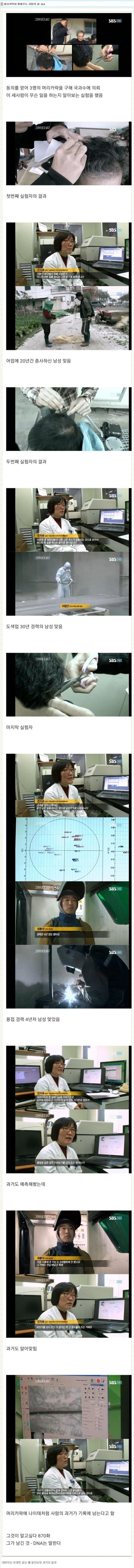 머리카락이말해주는사람의삶.jpeg