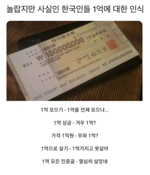 한국인들의1억에대한인식.png