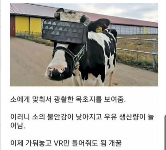 사이버펑크식육성.jpg