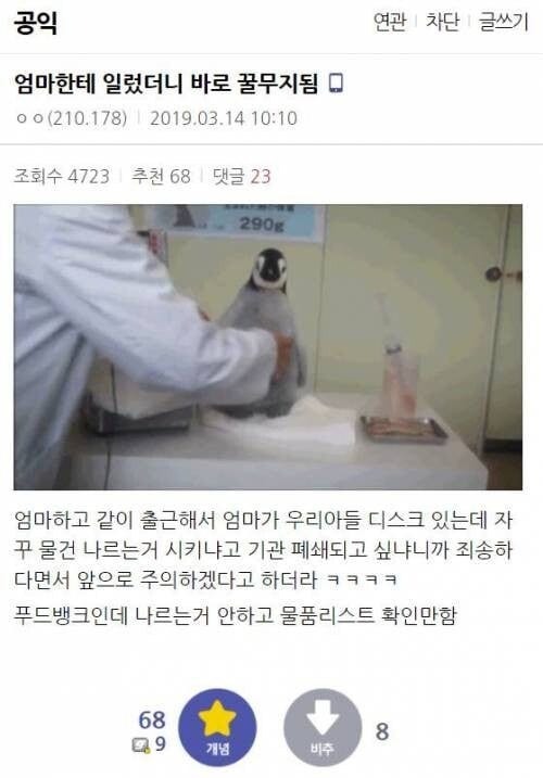 치트키쓴공익.jpg