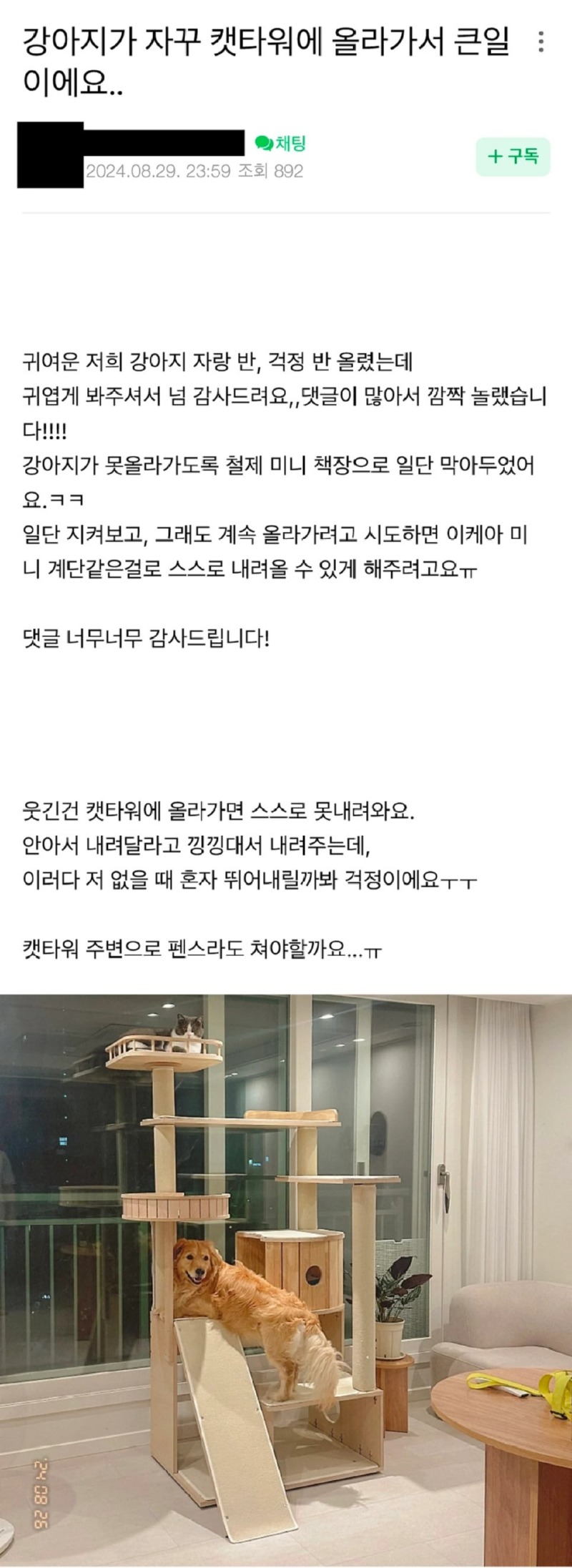 강아지가자꾸캣타워에올라가서큰일이에요.jpg