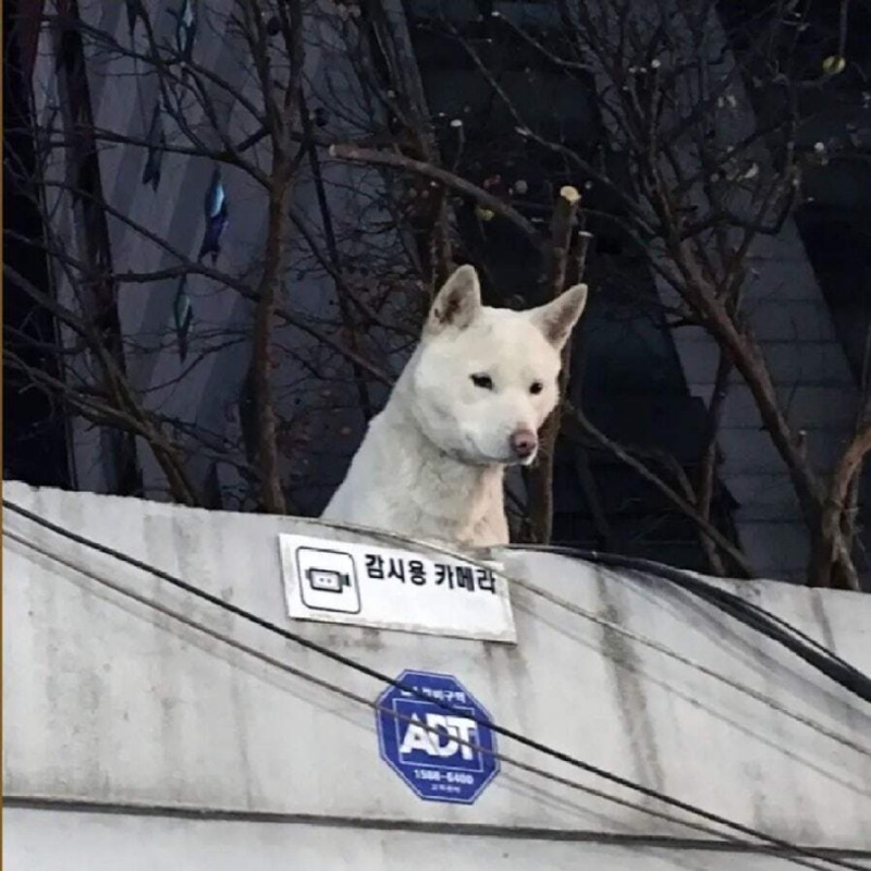 최신형CCTV.jpg