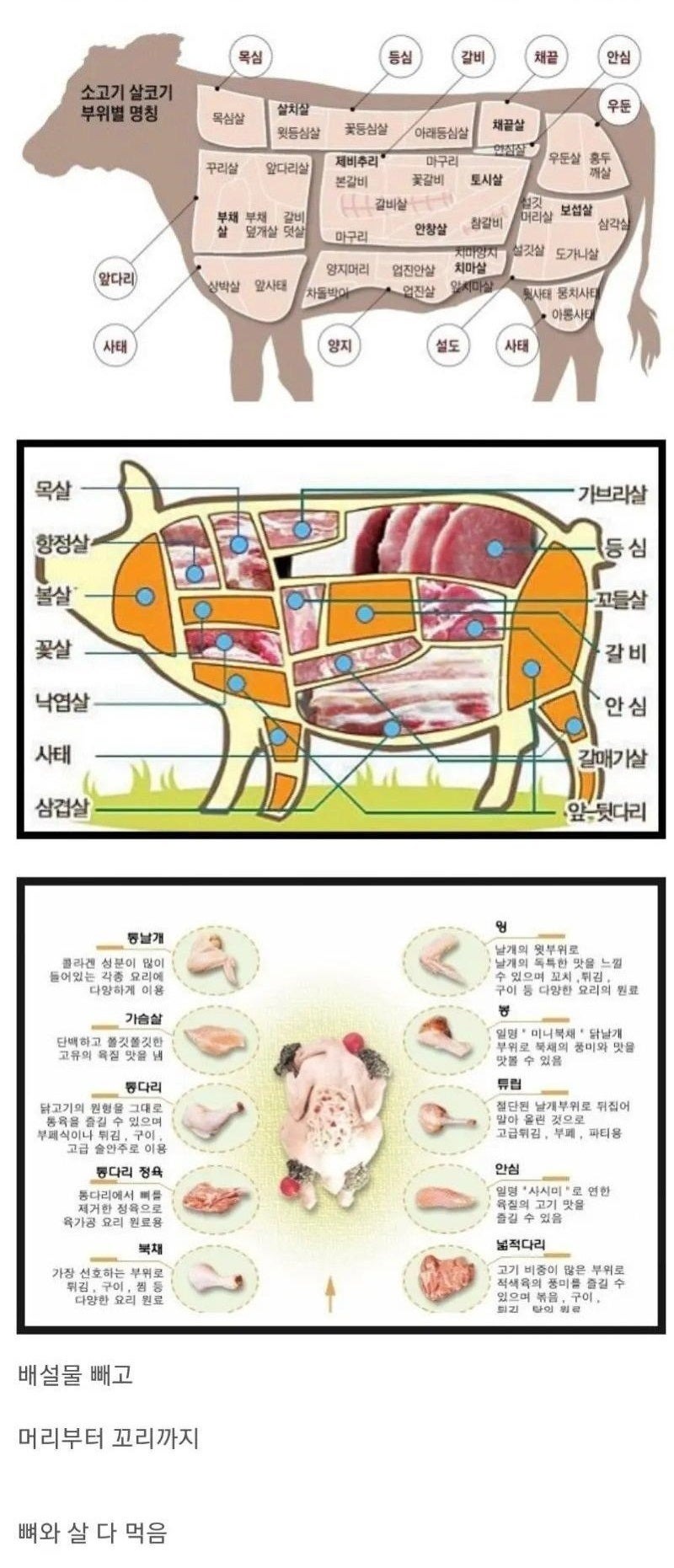 한국인의식성특징1.jpg