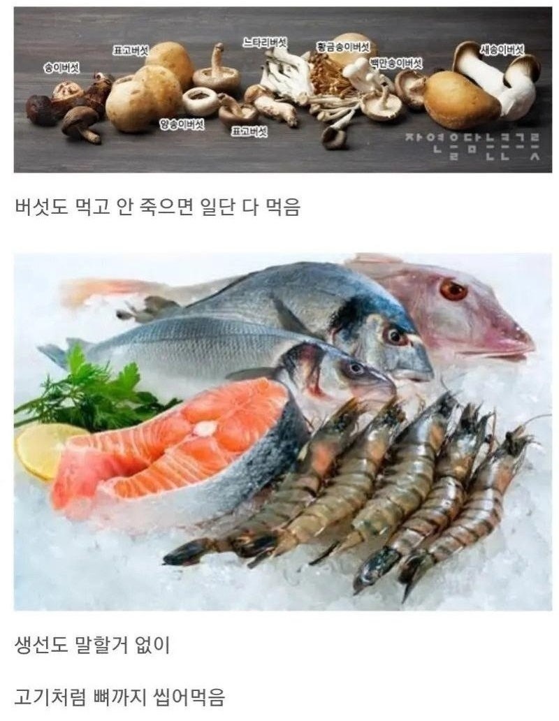 한국인의식성특징3.jpg