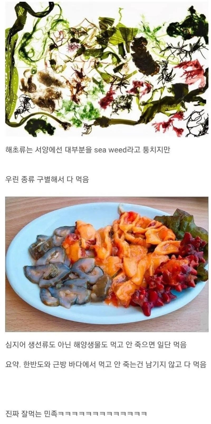 한국인의식성특징4.jpg