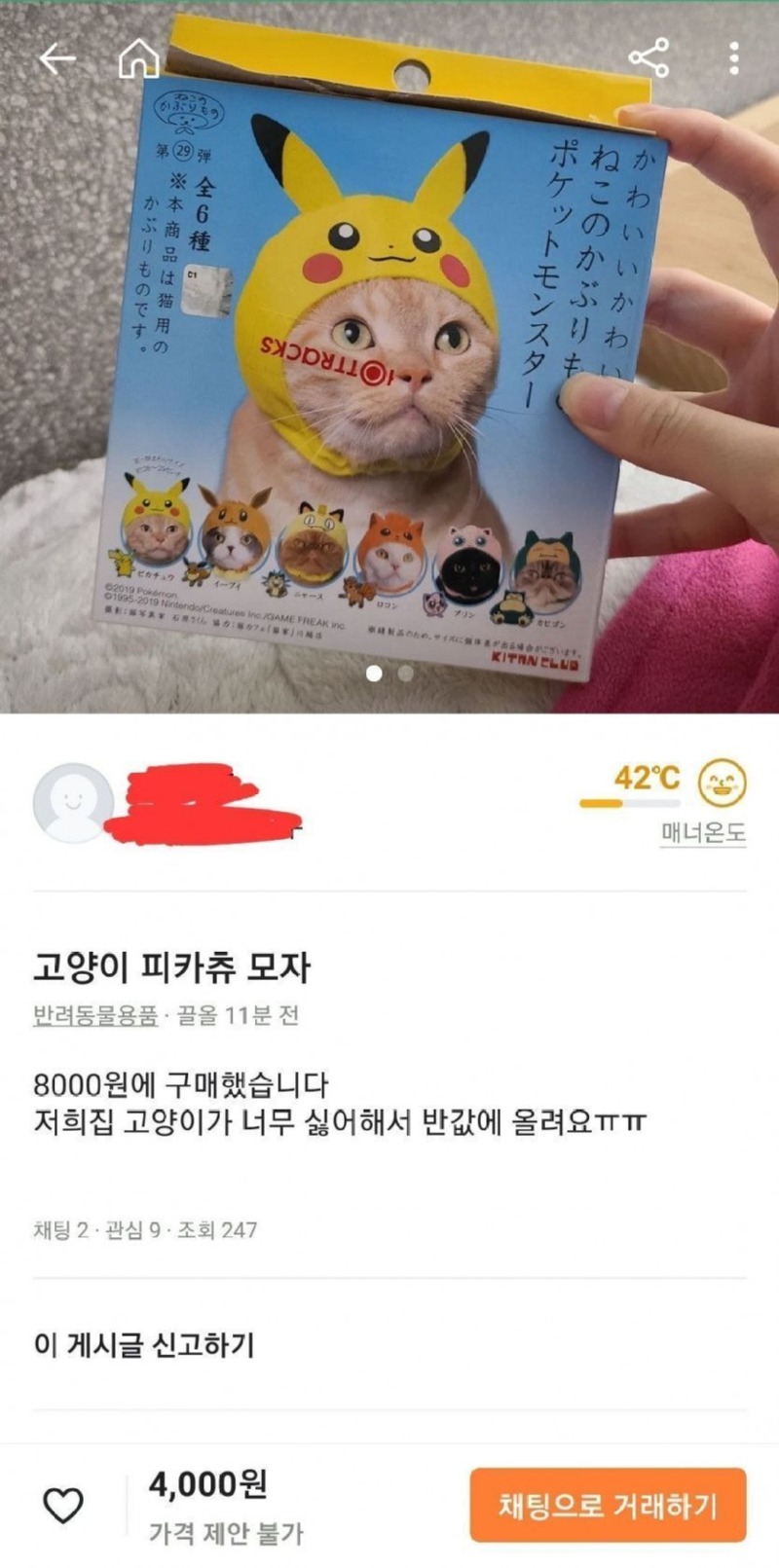 당근마켓고양이모자판매이유2.jpg