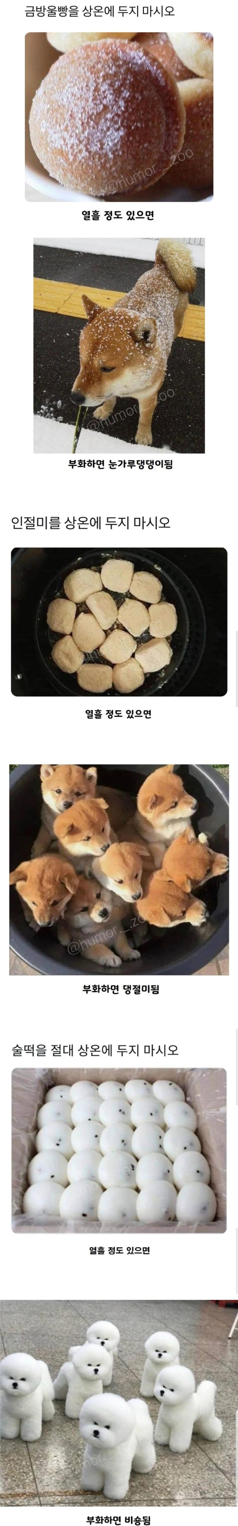 음식을상온에두면안되는이유.jpg