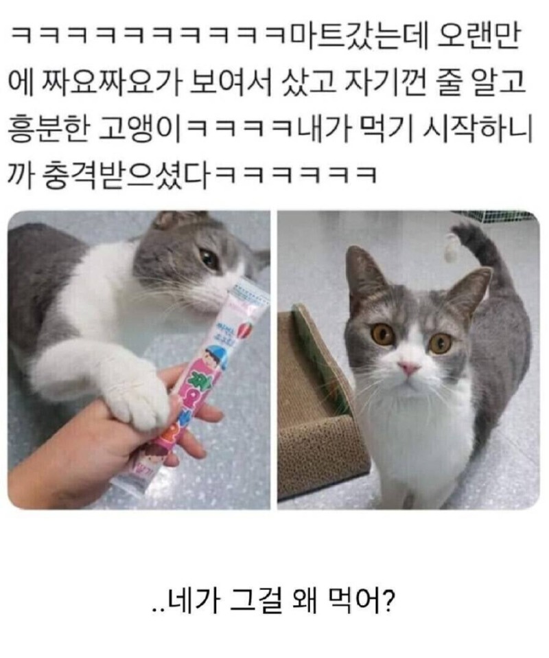 네가그걸왜먹어.jpg