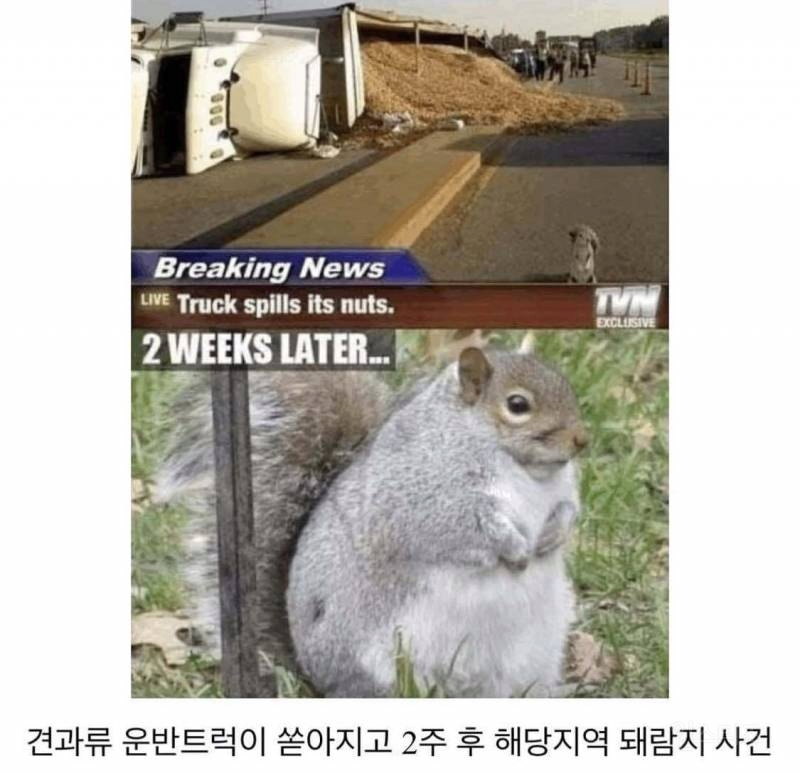 옥수수기차사고충격근황2.png