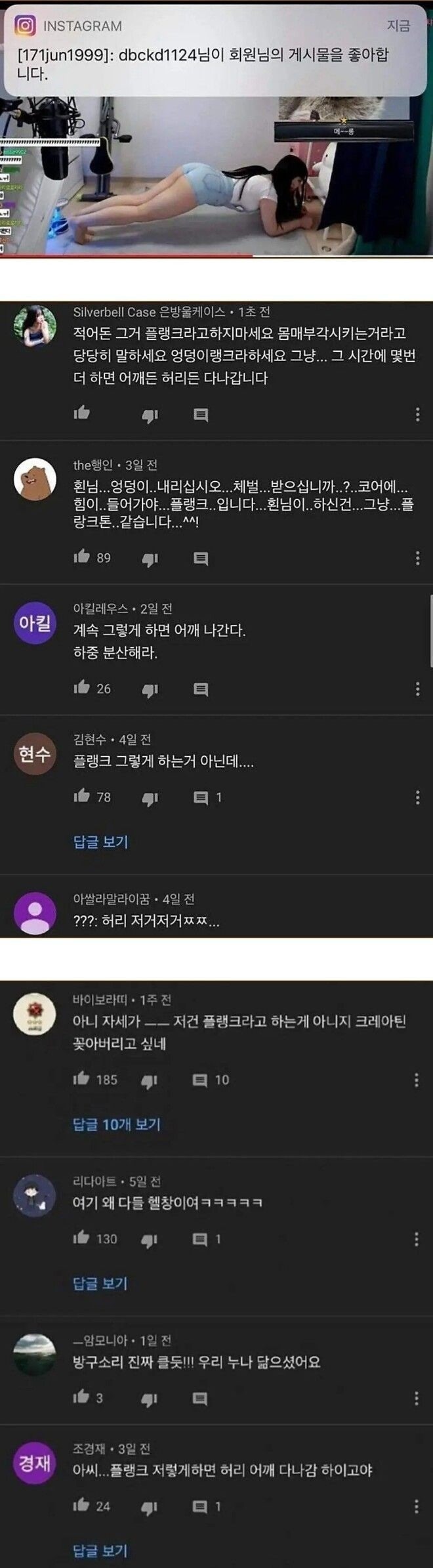 방송에서플랭크하는누나가불편한사람들.jpeg