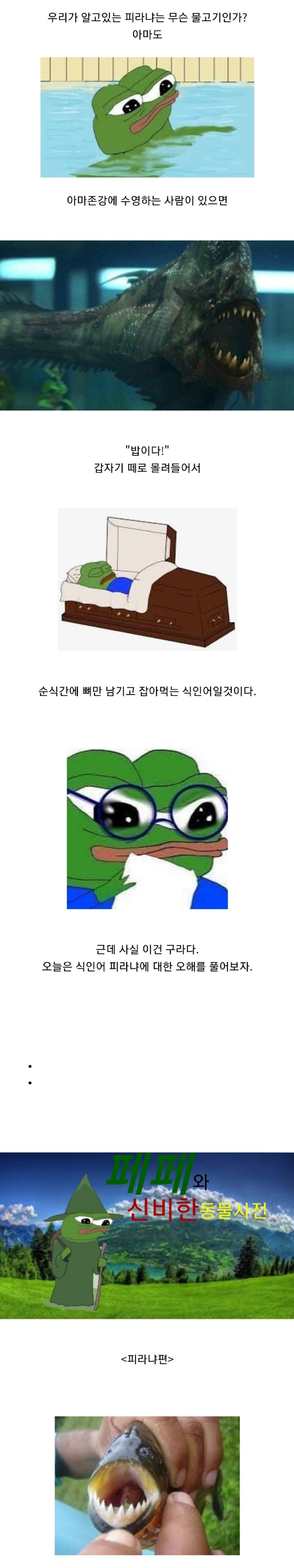 우리가몰랐던식인어피라냐의진실1.jpg