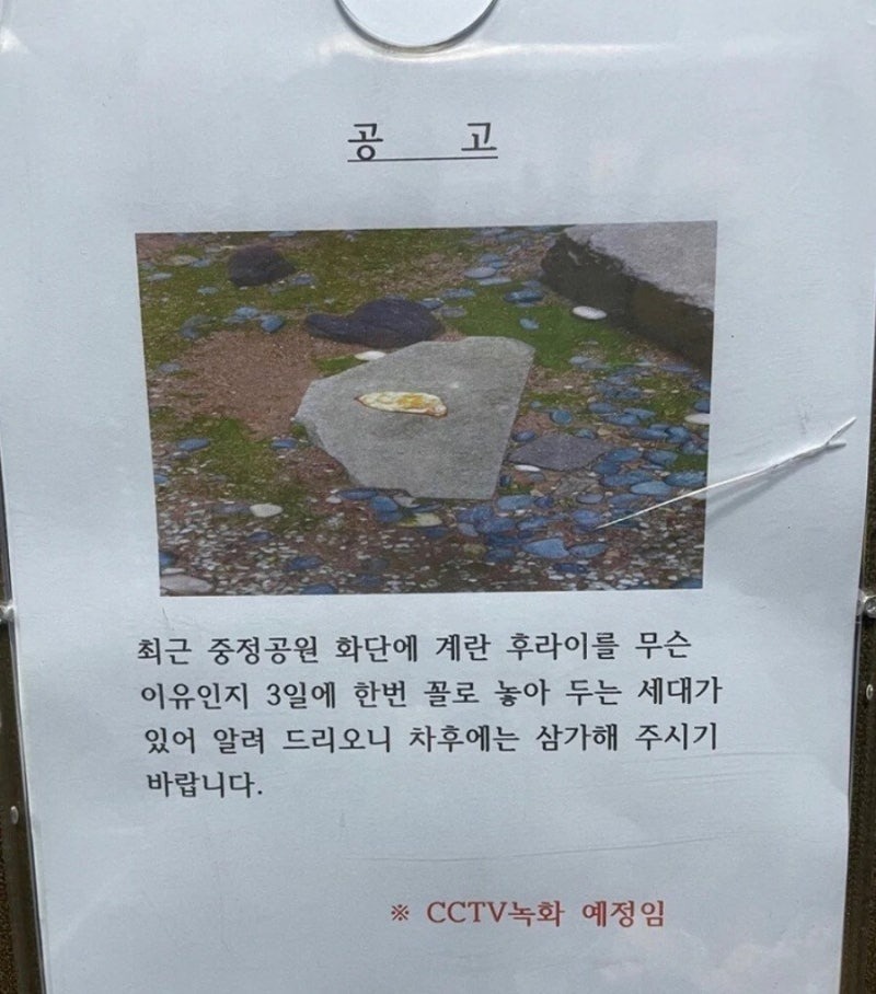 싱글벙글계란후라이빌런1.jpeg