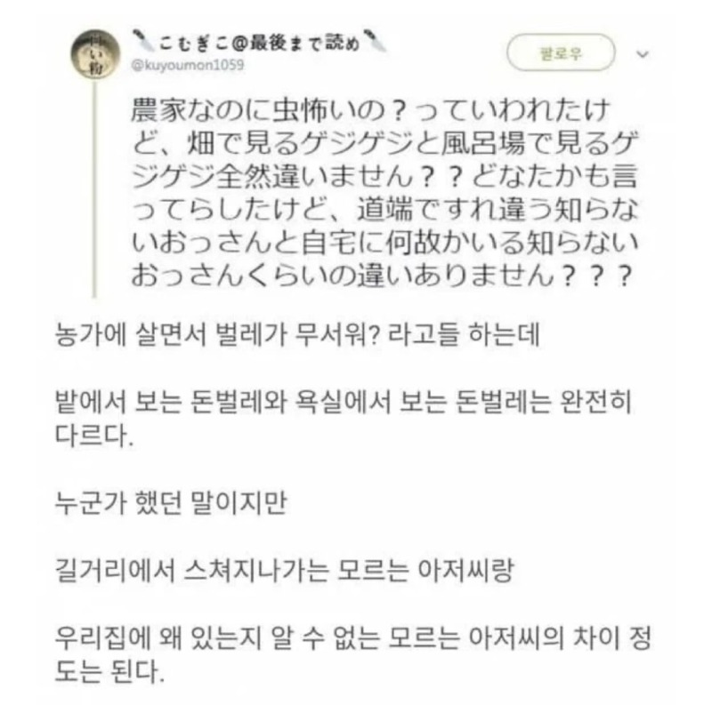 집에서보는벌레가무서운이유.jpeg