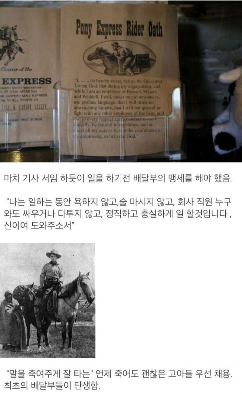 천조국의목숨을건배달부들2.jpeg