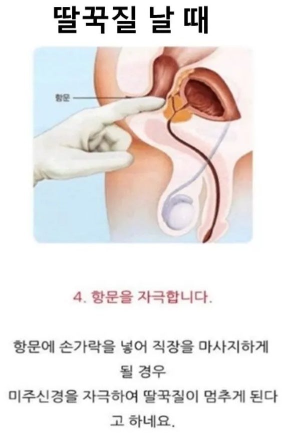 인생에꿀팁3.jpg