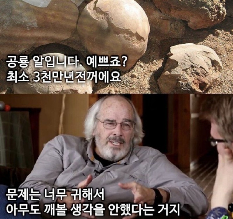 3천만년된공룡알을깨부순고고학자1.jpeg