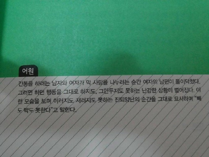 빼박의어원을알아보자.jpg