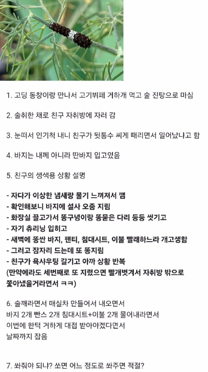 친구자취방에서똥쌌는데한턱쏴야하나요1.jpeg