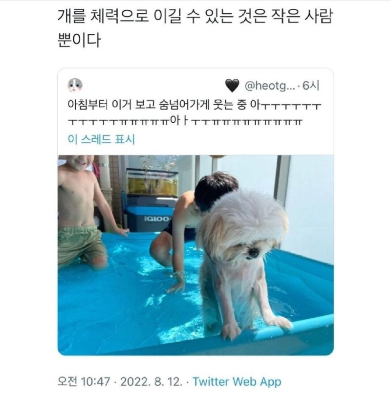 개를체력적으로이길수있는건1.jpg