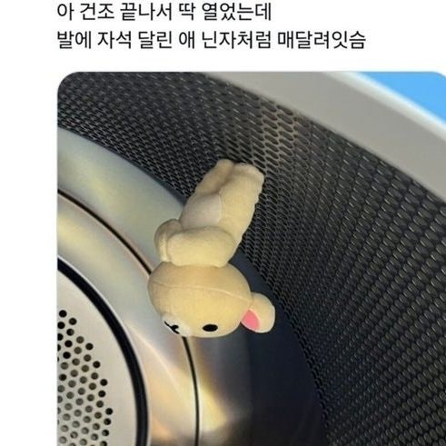 빨래방에나타난닌자.jpg