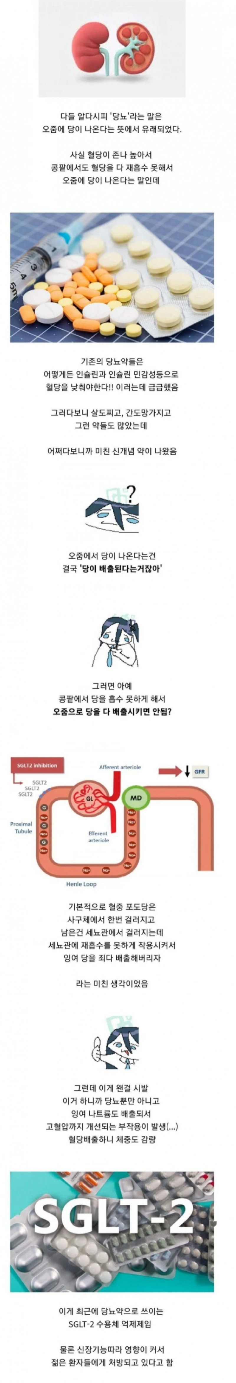 최근많이처방되고있다는당뇨신약.jpeg