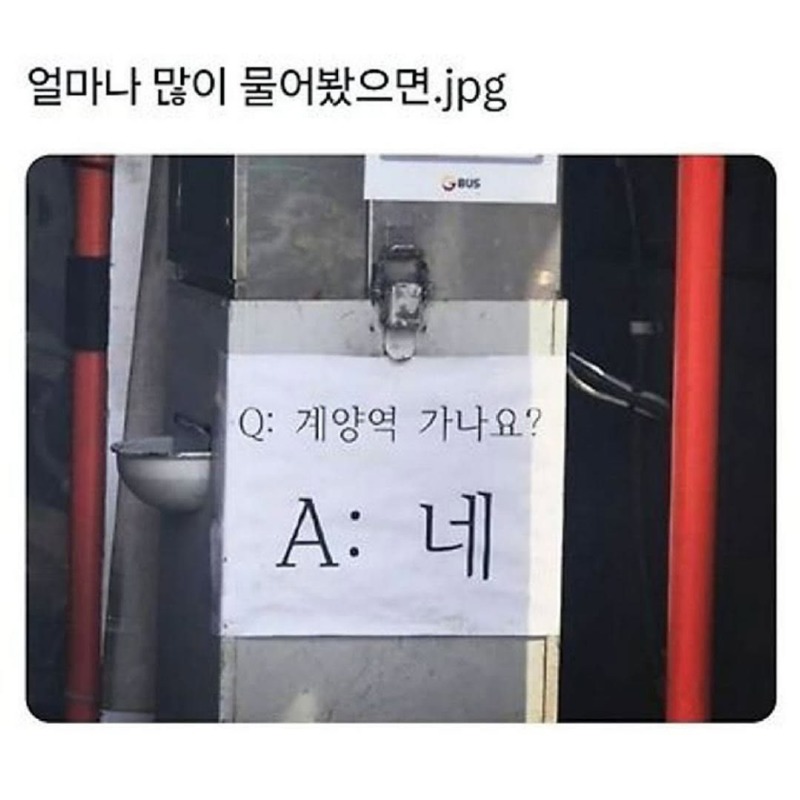 싱글벙글버스모음집3.jpg