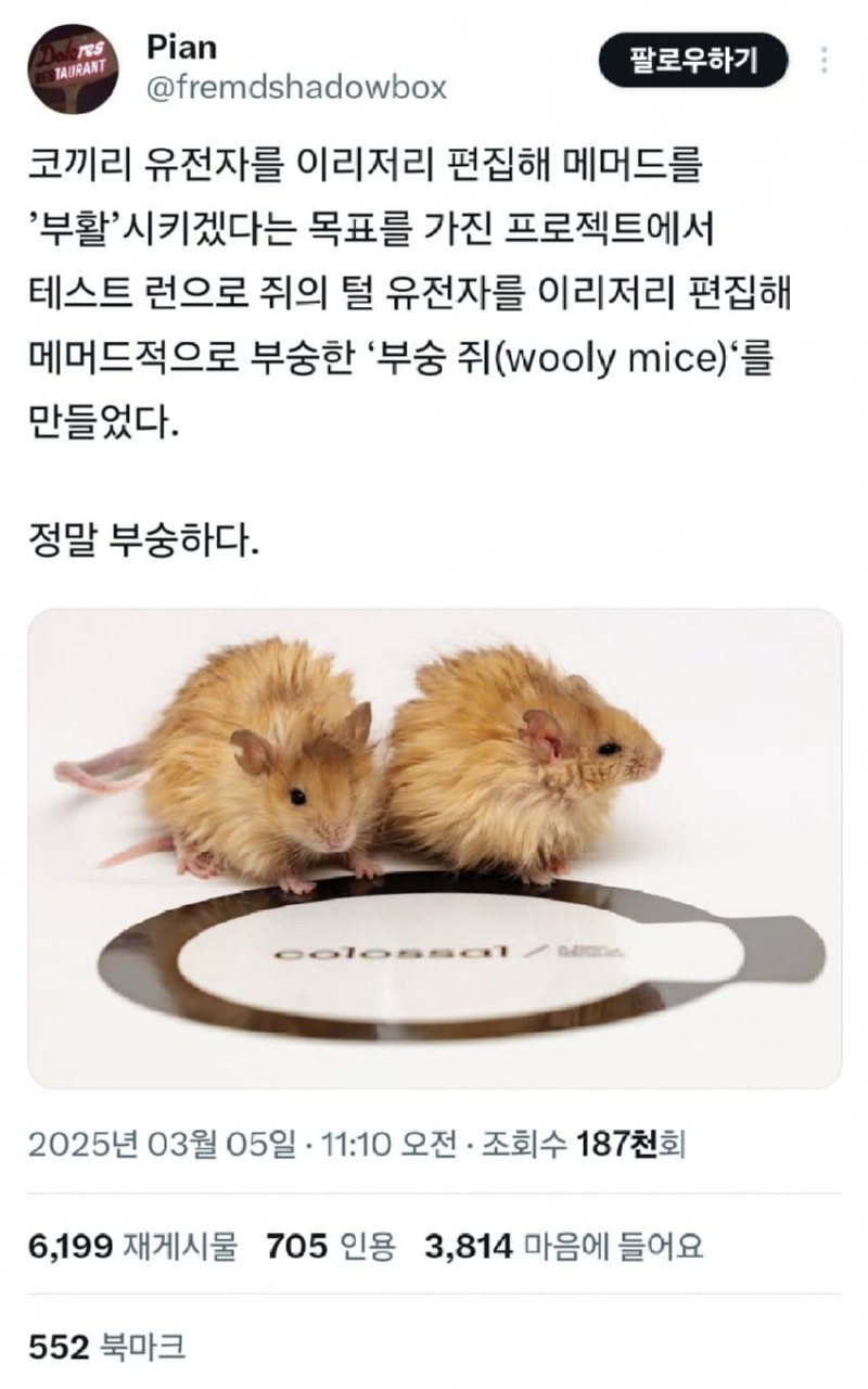 메머드복원하기전실험용으로만들어봤다는거.jpg