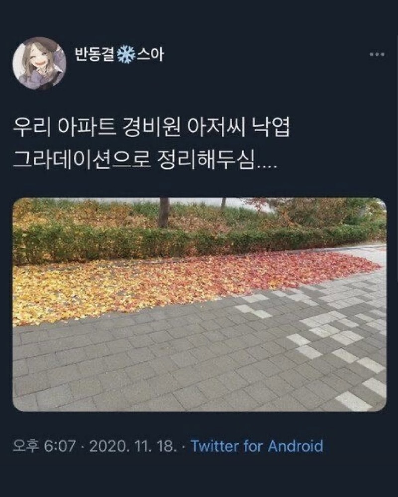 아니ㅅ1ㅂ어캐한거냐고8.jpg
