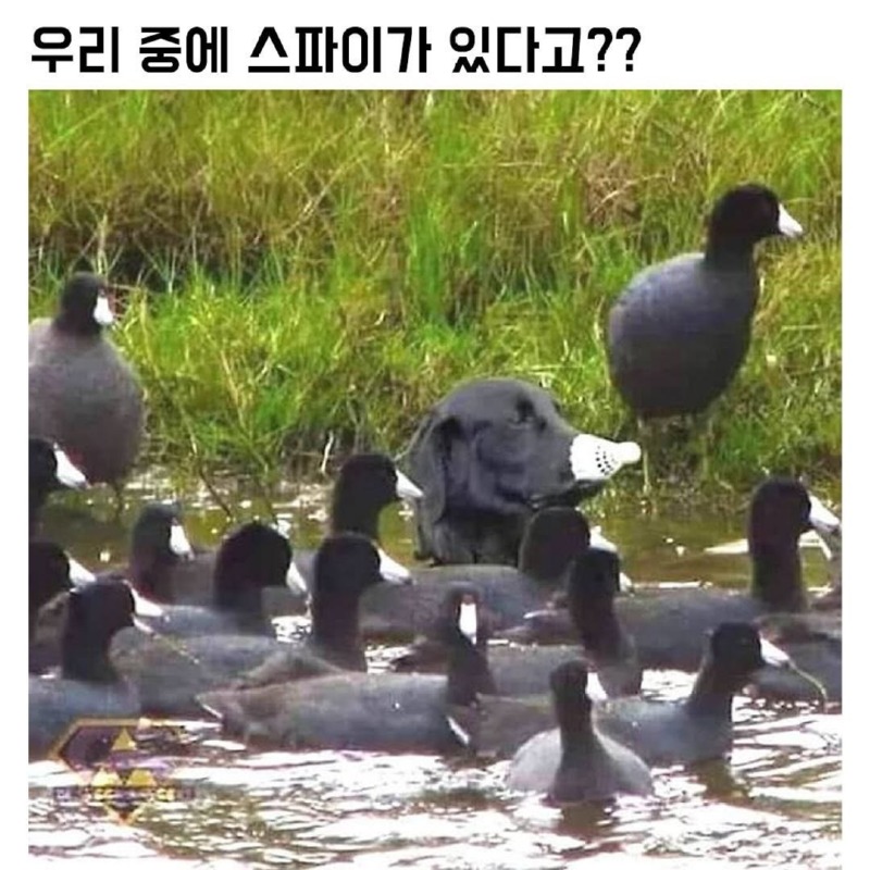 우리중에스파이가있다1.jpg
