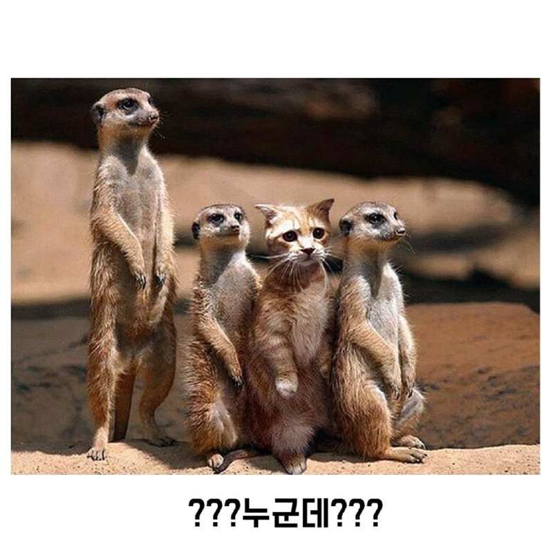 우리중에스파이가있다5.jpg