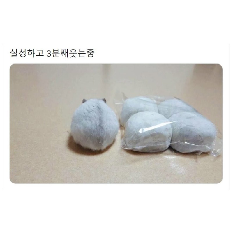 우리중에스파이가있다7.jpg