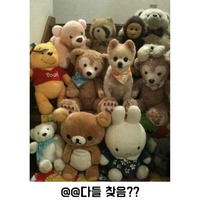 우리중에스파이가있다8.jpg