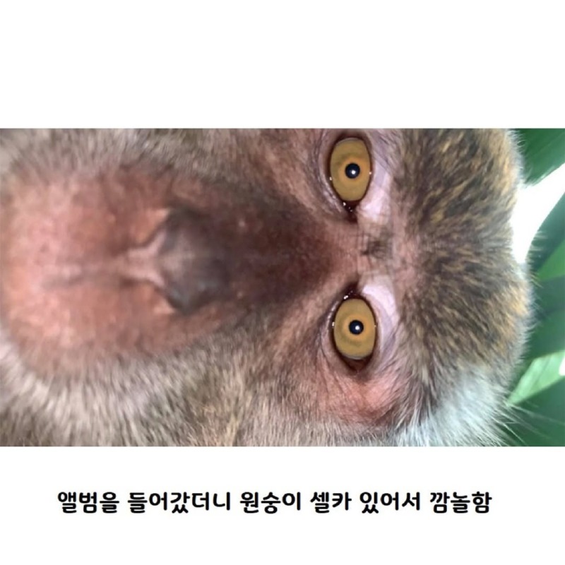 인간시대의끝이도래했다2.jpg