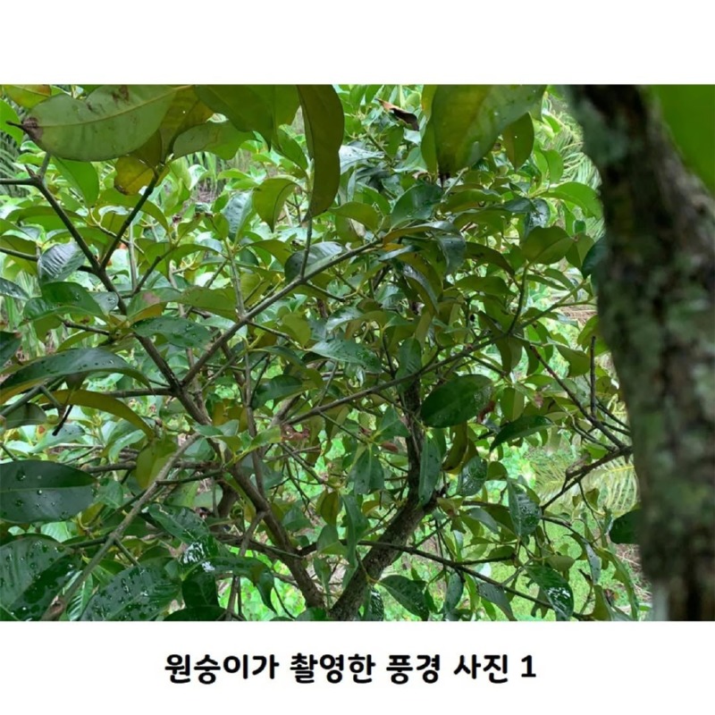 인간시대의끝이도래했다3.jpg