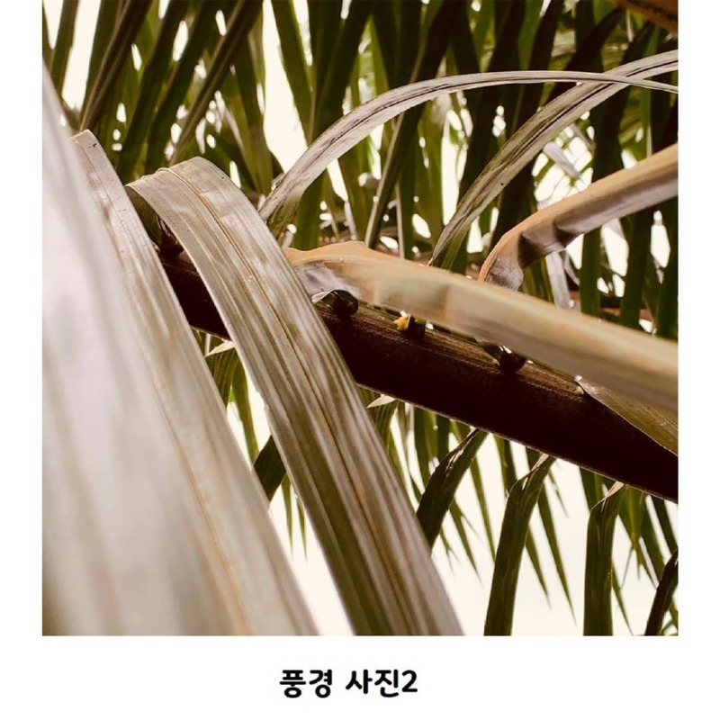 인간시대의끝이도래했다4.jpg