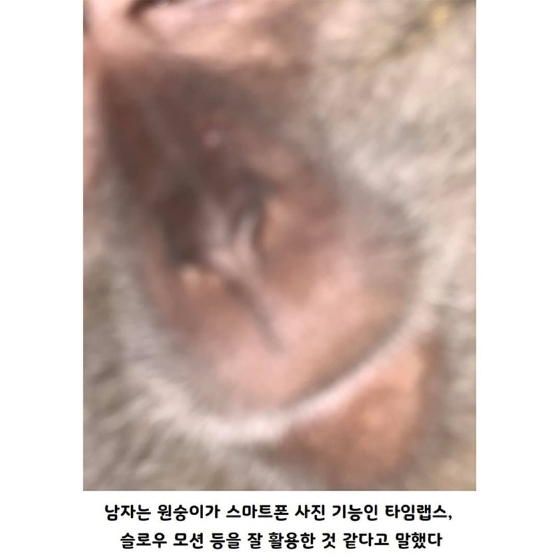 인간시대의끝이도래했다5.jpg
