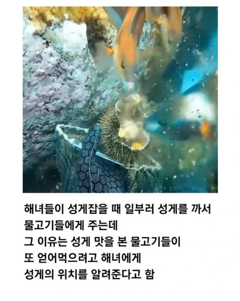 적의적은나의아군1.jpg