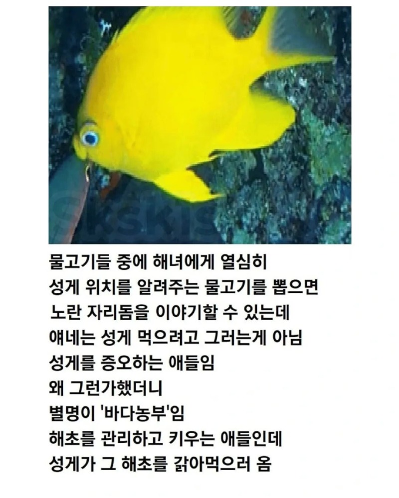 적의적은나의아군2.jpg