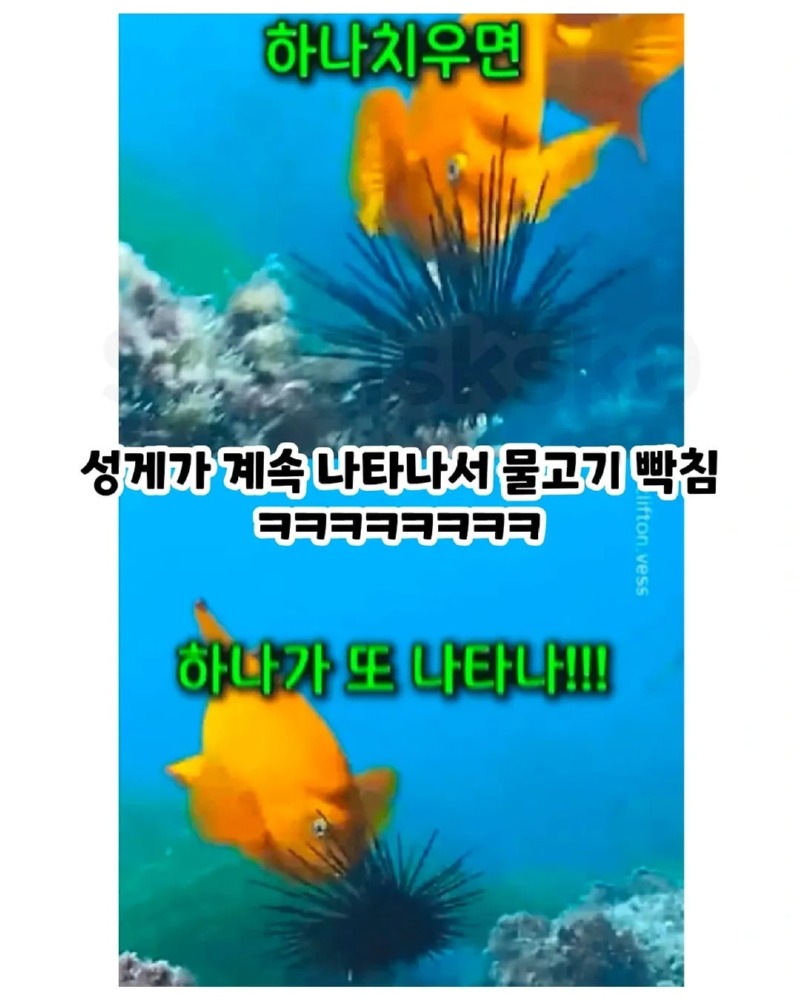 적의적은나의아군3.jpg