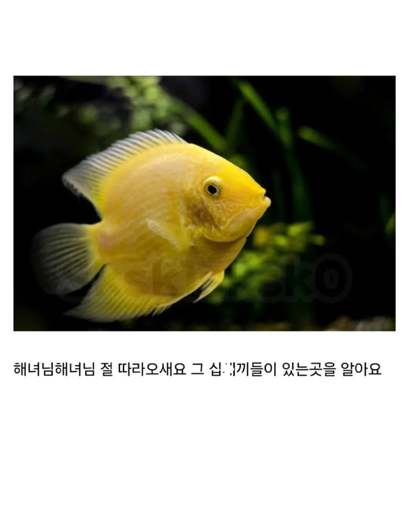 적의적은나의아군5.jpg
