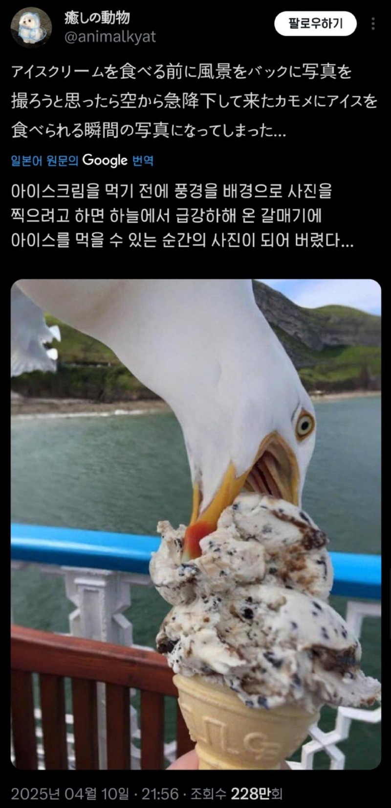 야외아이스크림인증샷대참사.jpeg
