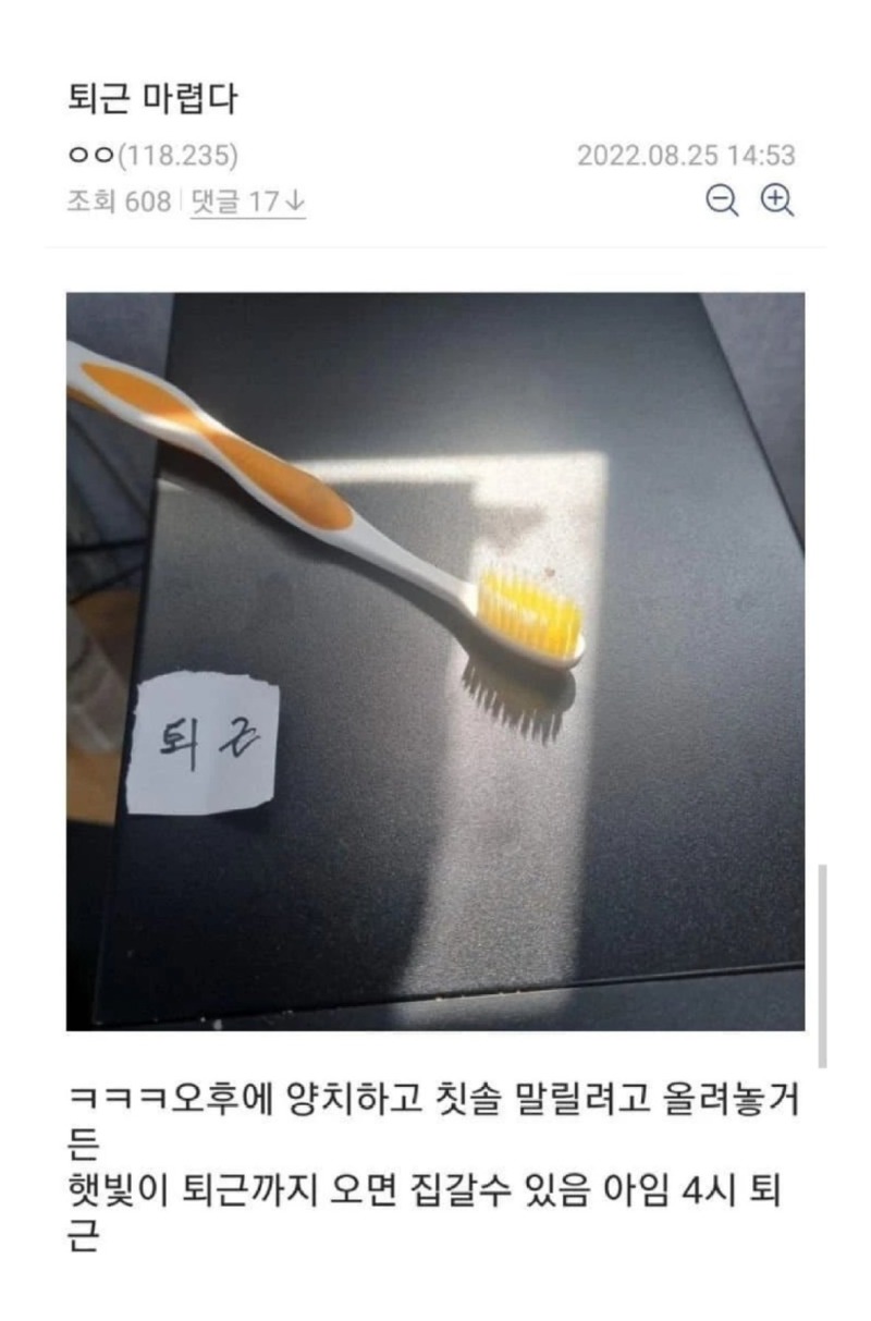 싱글벙글장영실공익.jpeg