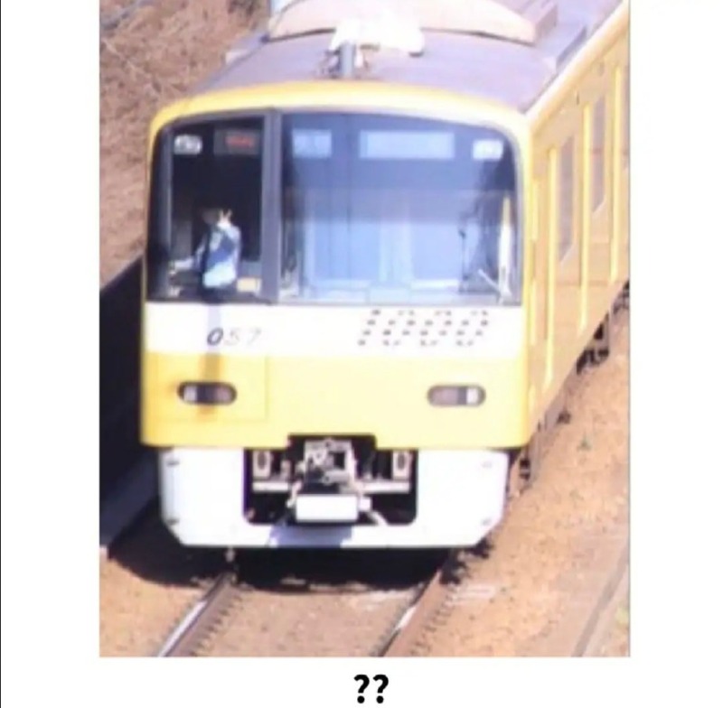 벚꽃이랑기차사진을찍었는데3.jpg