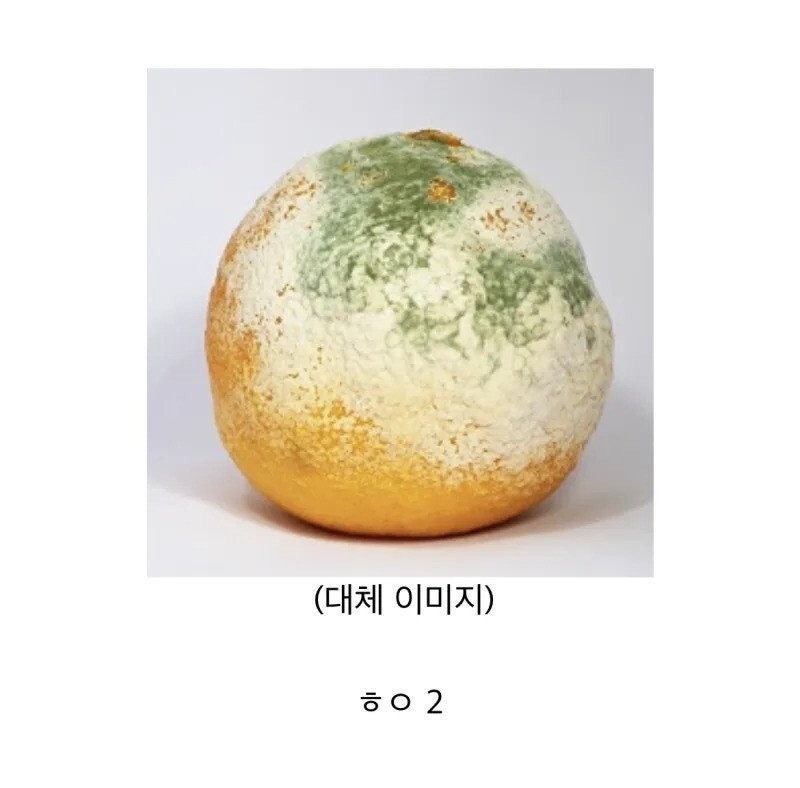세계최고령자의여권4.jpg