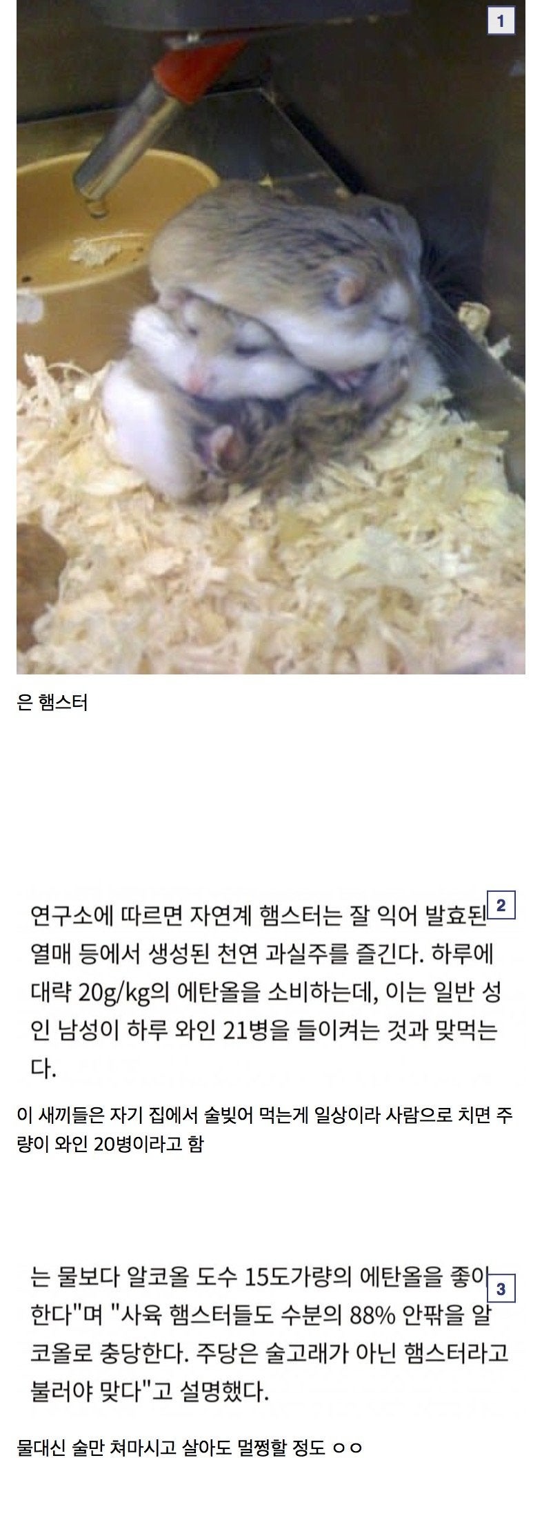 동물계주량1등1.jpeg